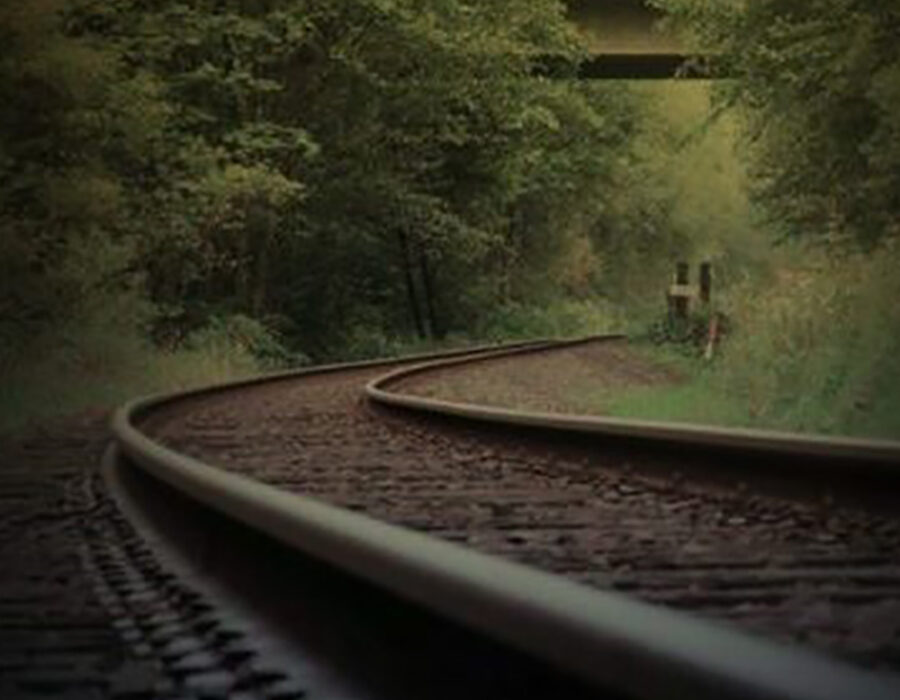 Railway tracks through forest